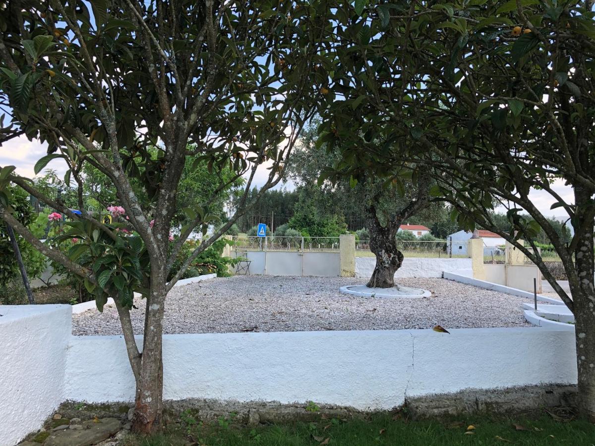 A Casa Amarela Apartment Pinheiro de Coja Екстериор снимка