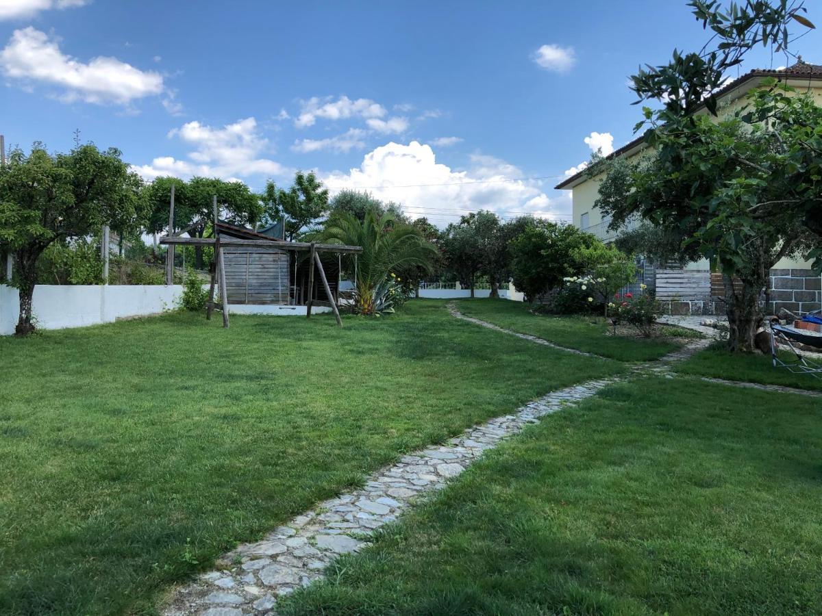 A Casa Amarela Apartment Pinheiro de Coja Екстериор снимка
