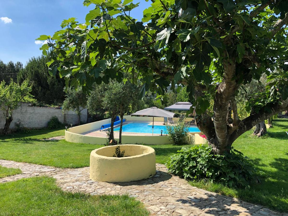 A Casa Amarela Apartment Pinheiro de Coja Екстериор снимка