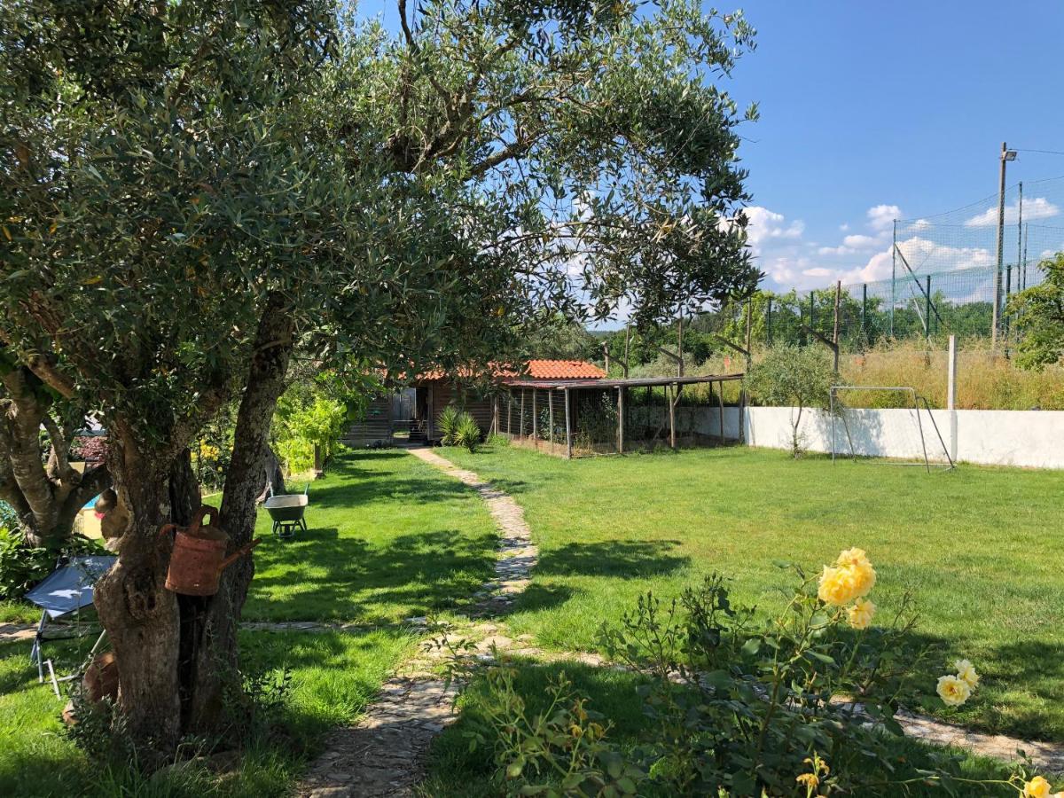A Casa Amarela Apartment Pinheiro de Coja Екстериор снимка